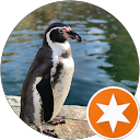 Un bekannt profile picture